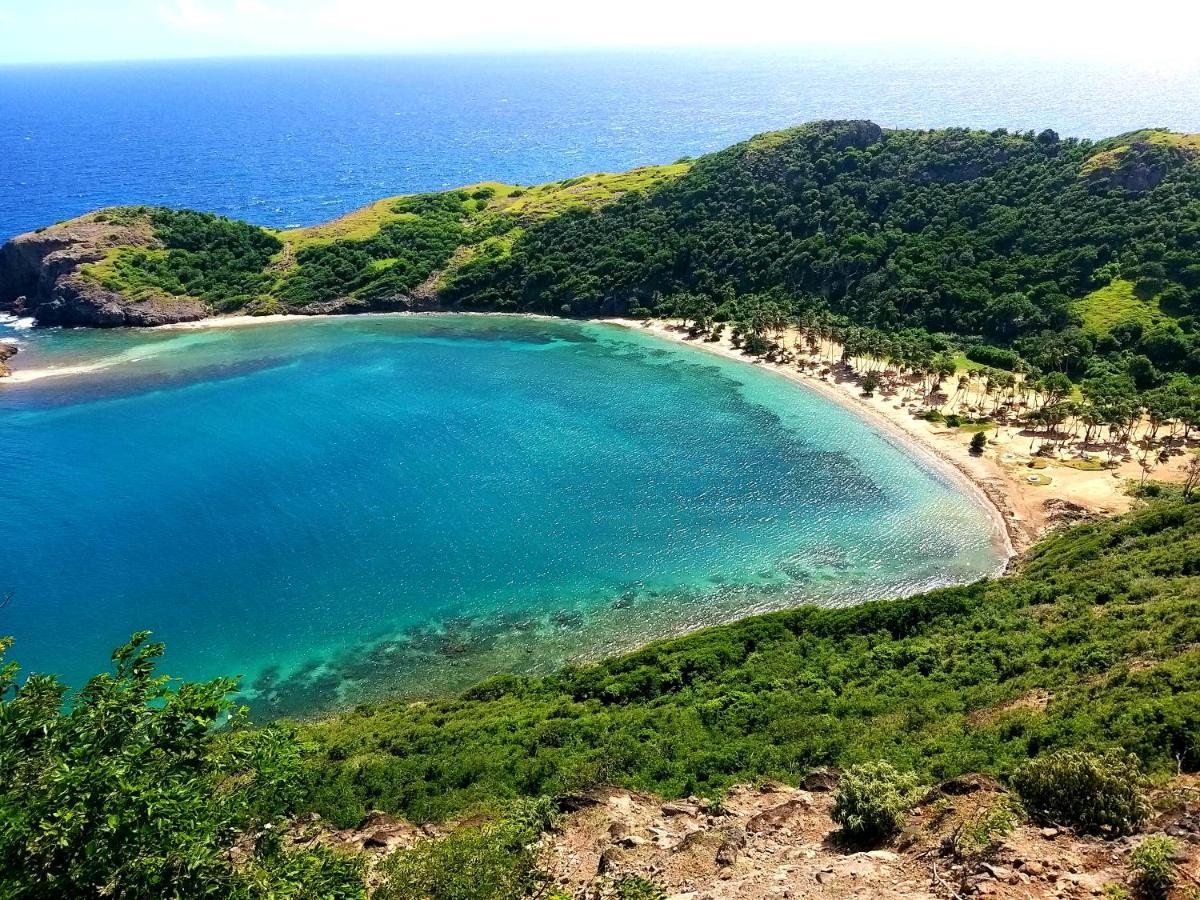 Studio Grande Anse Terre-De-Haut Exteriör bild