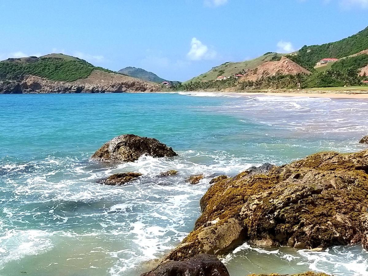 Studio Grande Anse Terre-De-Haut Exteriör bild