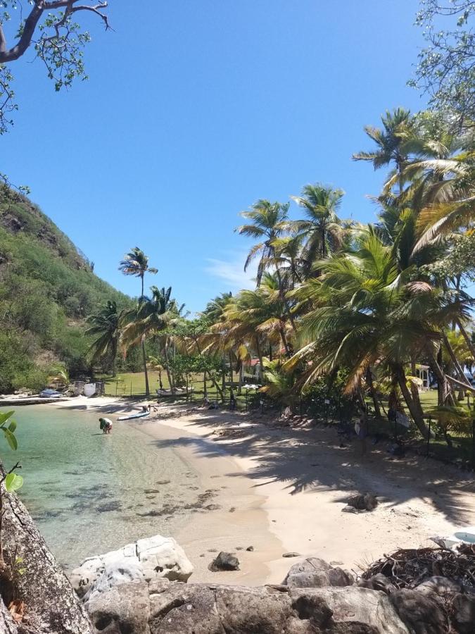Studio Grande Anse Terre-De-Haut Exteriör bild