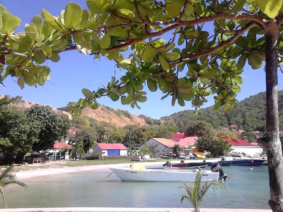 Studio Grande Anse Terre-De-Haut Exteriör bild
