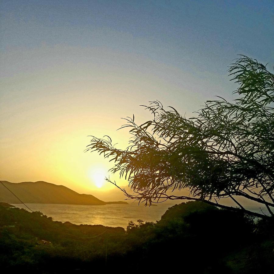 Studio Grande Anse Terre-De-Haut Exteriör bild